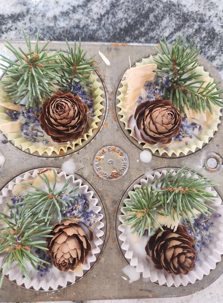 Handmade Beeswax Fire Starters – 4 Pack